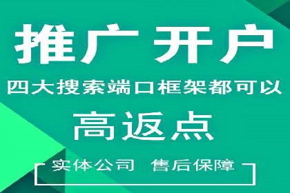 成功SEM投放案例分享